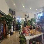 Kirayə (aylıq) Obyekt, Sahil metrosu, Səbail rayonu 4