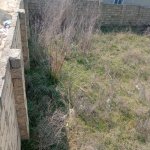 Satılır Torpaq Sumqayıt 4