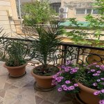 Satılır 14 otaqlı Həyət evi/villa, Gənclik metrosu, Nərimanov rayonu 25