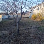 Satılır Torpaq İsmayıllı 3