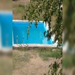 Kirayə (aylıq) 3 otaqlı Həyət evi/villa, Mərdəkan, Xəzər rayonu 9