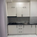 Kirayə (aylıq) 2 otaqlı Yeni Tikili, Gənclik metrosu, Nəsimi rayonu 12