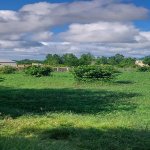 Satılır Torpaq Qəbələ 3