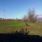 Продажа Участок Хачмаз 2