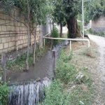 Kirayə (günlük) 4 otaqlı Bağ evi Qəbələ 16