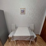 Kirayə (aylıq) 3 otaqlı Yeni Tikili, Gənclik metrosu, Nəsimi rayonu 10