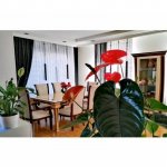 Kirayə (aylıq) 5 otaqlı Bağ evi, Xəzər rayonu 6