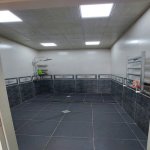 Kirayə (aylıq) 2 otaqlı Yeni Tikili Sumqayıt 13