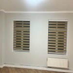 Kirayə (aylıq) 12 otaqlı Ofis, Azadlıq metrosu, Nəsimi rayonu 10