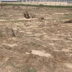 Satılır Torpaq, Koroğlu metrosu, Məhəmmədli, Abşeron rayonu 6