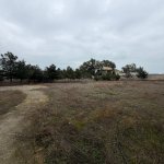 Satılır Torpaq, Şüvəlan, Xəzər rayonu 2