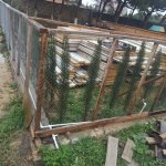 Satılır Torpaq, Maştağa qəs., Sabunçu rayonu 4
