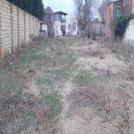 Продажа Участок, Новханы, Абшерон район 4