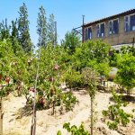 Satılır 5 otaqlı Bağ evi, Novxanı, Abşeron rayonu 12