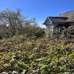 Satılır Torpaq Şamaxı 11