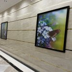 Kirayə (aylıq) 2 otaqlı Yeni Tikili, İnşaatçılar metrosu, Montin qəs., Nərimanov rayonu 10