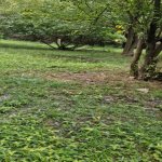 Satılır 3 otaqlı Həyət evi/villa Tərtər 16