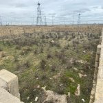 Satılır Torpaq, Buzovna, Xəzər rayonu 1