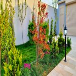 Satılır 4 otaqlı Bağ evi, Mərdəkan, Xəzər rayonu 6