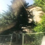 Аренда 3 комнатная Вторичка, Ясамал район 14