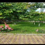 Satılır 7 otaqlı Həyət evi/villa Qusar 4