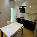 Аренда 5 комнатная Новостройка, Nizami метро, Статистика, Ясамал район 20