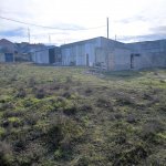 Аренда Объект, Хокмяли, Абшерон район 10