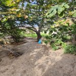 Satılır 3 otaqlı Həyət evi/villa Sumqayıt 6