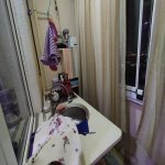 Satılır 1 otaqlı Yeni Tikili Xırdalan 6