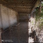 Satılır 5 otaqlı Bağ evi, Şüvəlan, Xəzər rayonu 6