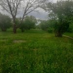 Продажа Участок Гябяля 4