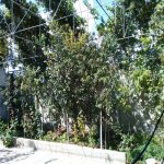 Satılır 3 otaqlı Həyət evi/villa, Bahar qəs., Suraxanı rayonu 7