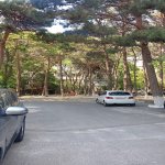 Kirayə (aylıq) 2 otaqlı Yeni Tikili, Gənclik metrosu, Nəsimi rayonu 9