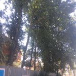 Kirayə (günlük) 4 otaqlı Həyət evi/villa Lənkəran 22