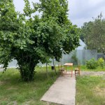 Kirayə (günlük) 2 otaqlı Həyət evi/villa İsmayıllı 17
