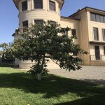 Satılır 12 otaqlı Həyət evi/villa, Mərdəkan, Xəzər rayonu 3
