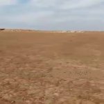 Satılır Torpaq, Qobu, Abşeron rayonu 1