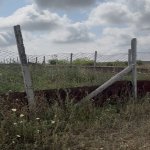 Satılır Torpaq Şamaxı 1