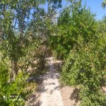 Satılır 8 otaqlı Bağ evi, Mərdəkan, Xəzər rayonu 21