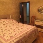 Kirayə (aylıq) 2 otaqlı Həyət evi/villa, Əhmədli metrosu, kənd Əhmədli, Xətai rayonu 4