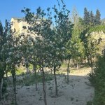 Satılır 7 otaqlı Bağ evi, Novxanı, Abşeron rayonu 31
