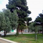 Satılır 2 otaqlı Köhnə Tikili, Xalqlar dostluğu metrosu, Nizami rayonu 2