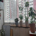 Продажа 2 комнатная Новостройка, м. Гара Гараева метро, Низаминский р-н район 8