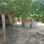 Satılır Obyekt, Novxanı, Abşeron rayonu 6