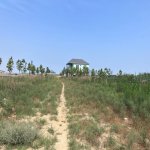 Satılır Torpaq, Məhəmmədli, Abşeron rayonu 1