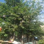 Satılır Torpaq Sumqayıt 3