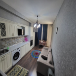 Kirayə (aylıq) 3 otaqlı Yeni Tikili, Gənclik metrosu, Nəsimi rayonu 5