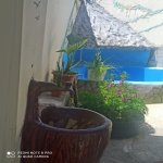 Kirayə (günlük) 3 otaqlı Həyət evi/villa Qax 23