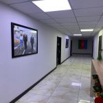 Kirayə (aylıq) 12 otaqlı Ofis, Nəsimi rayonu 7