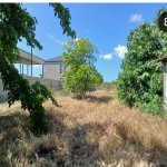 Satılır Torpaq, Maştağa qəs., Sabunçu rayonu 7